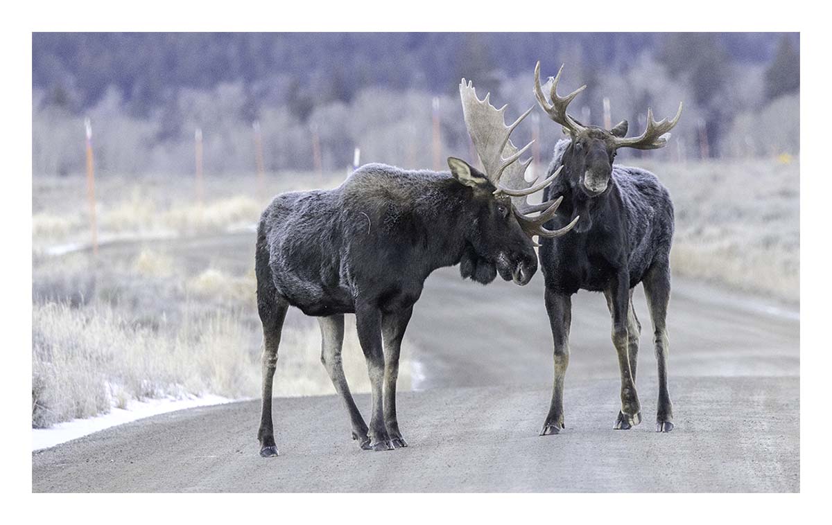 Grand Teton NP